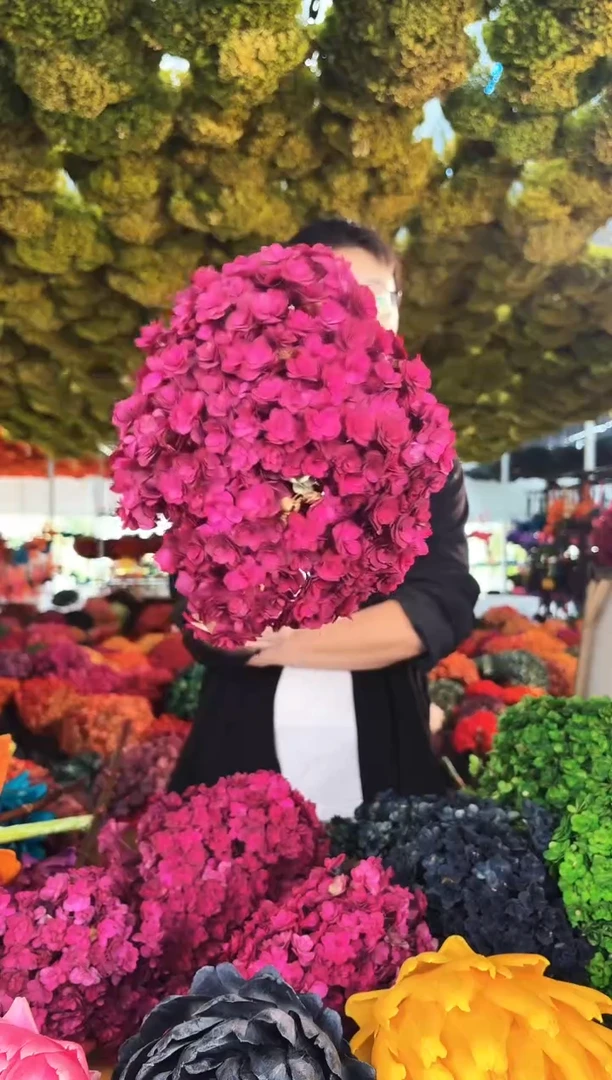 206  山前小麦 · 永生重瓣绣球1枝玫红