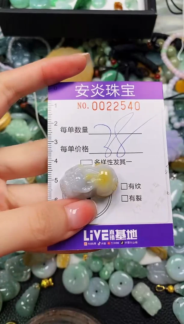 颈饰未镶嵌翡翠闪购0022540