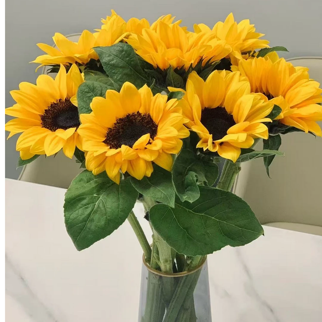 （黑心向日葵）一举夺魁，生花苞发货