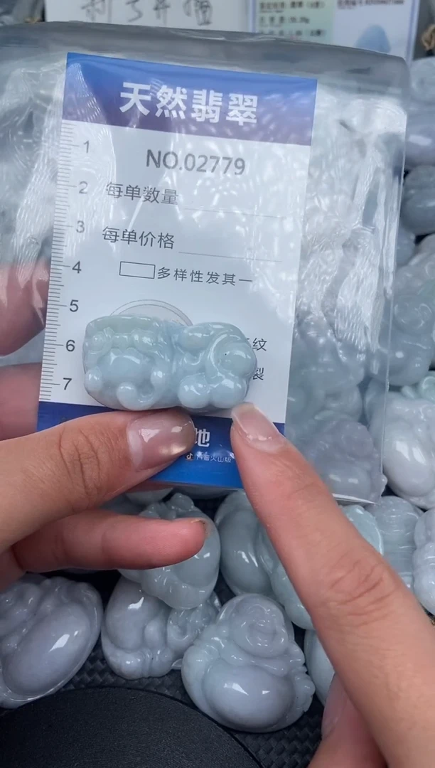 颈饰未镶嵌翡翠纯天然A货翡翠2779