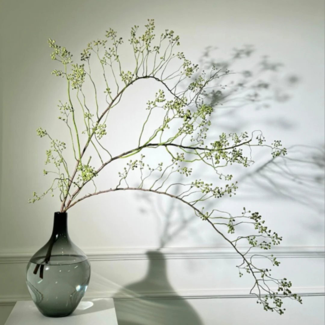 山归来-云南鲜花基地直发鲜切花可做干花~好养护~花期长