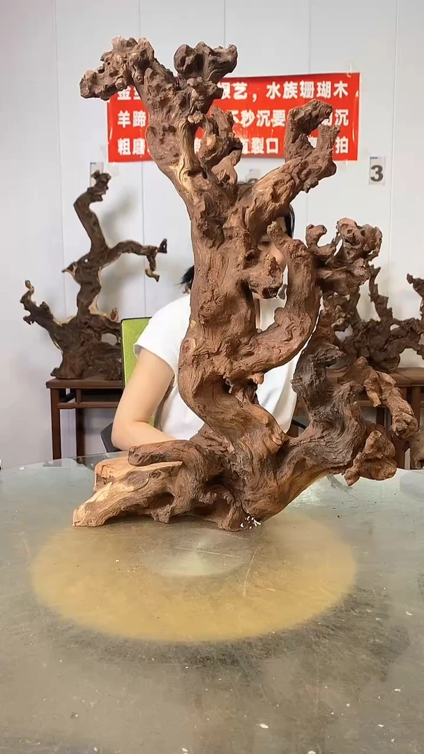 香榧木畅*金丝红木   羊蹄甲