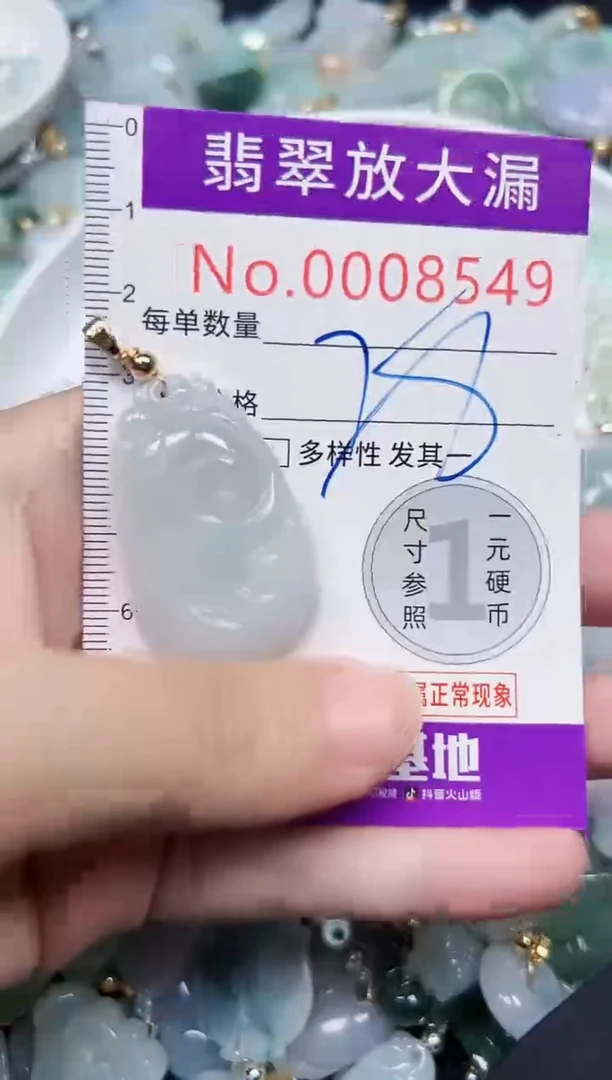 颈饰未镶嵌翡翠8549