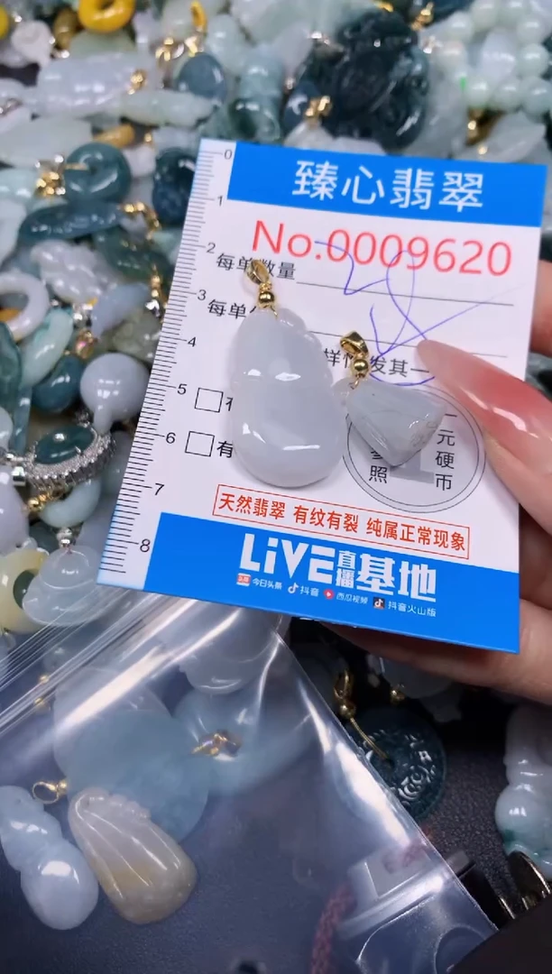 【闪购商品】翡翠颈饰未镶嵌含绳0009620