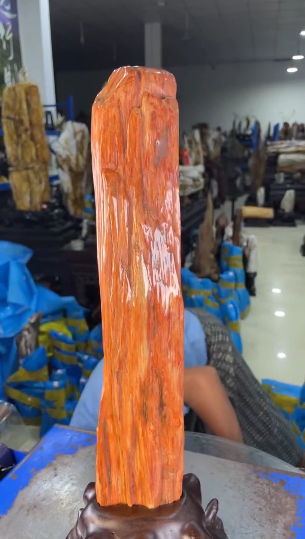 未镶嵌摆件硅化玉21