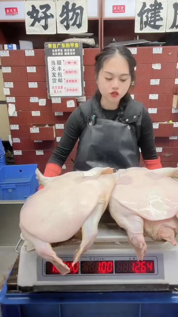 中国大陆白****）两只合计12.6斤