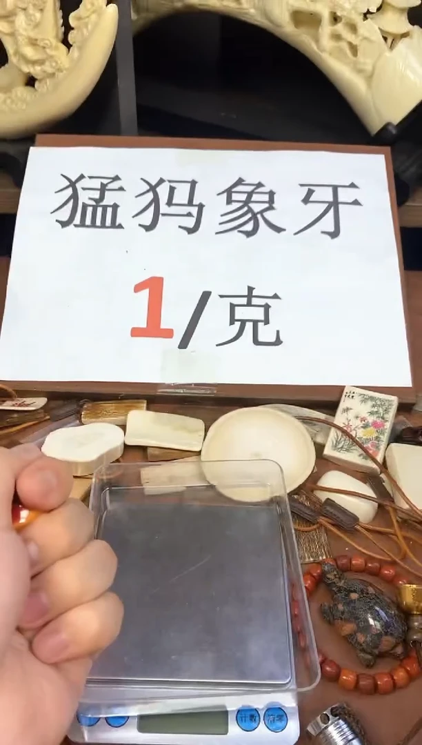 猛犸袅袅鲨鱼背三通