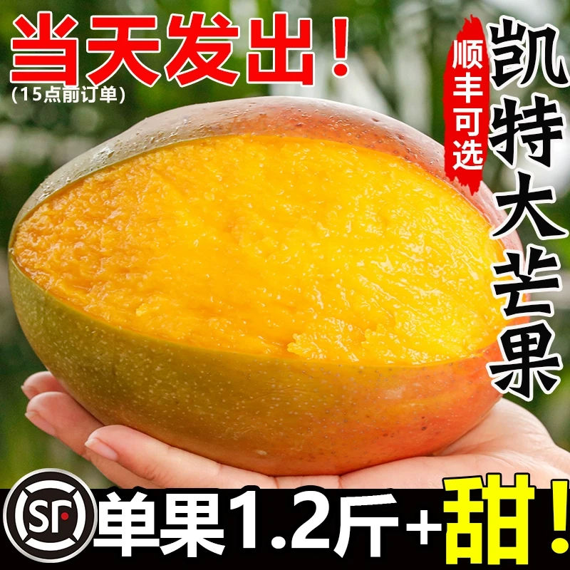 现摘攀枝花凯特芒果新鲜水果当季整箱青芒大果产地直发