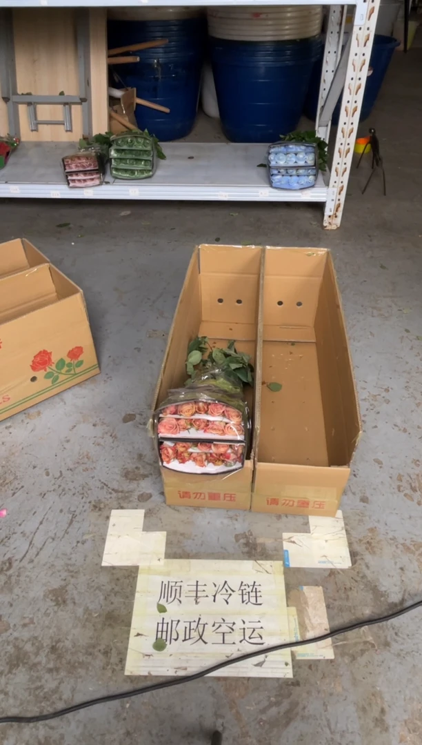 卡布 1扎