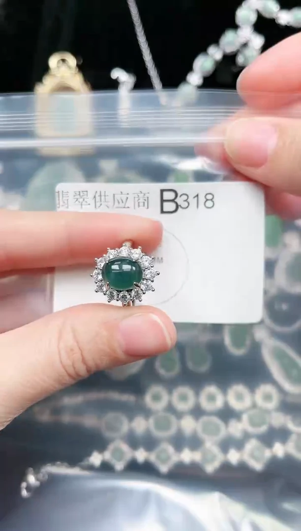 【闪购商品】翡翠颈饰未镶嵌318赠皮绳