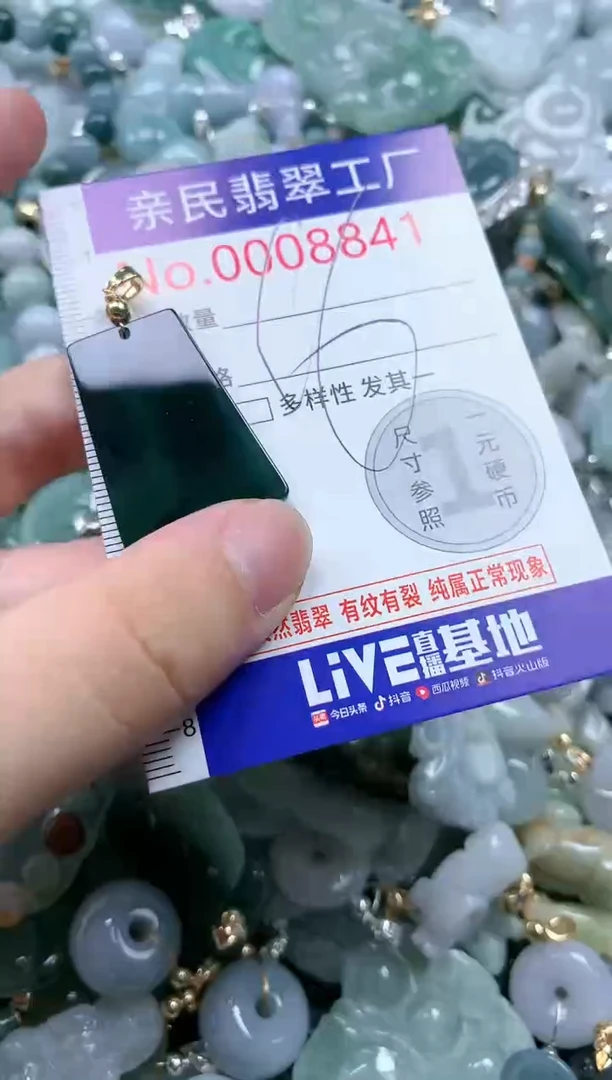 翡翠未镶嵌吊坠(不含链)8841