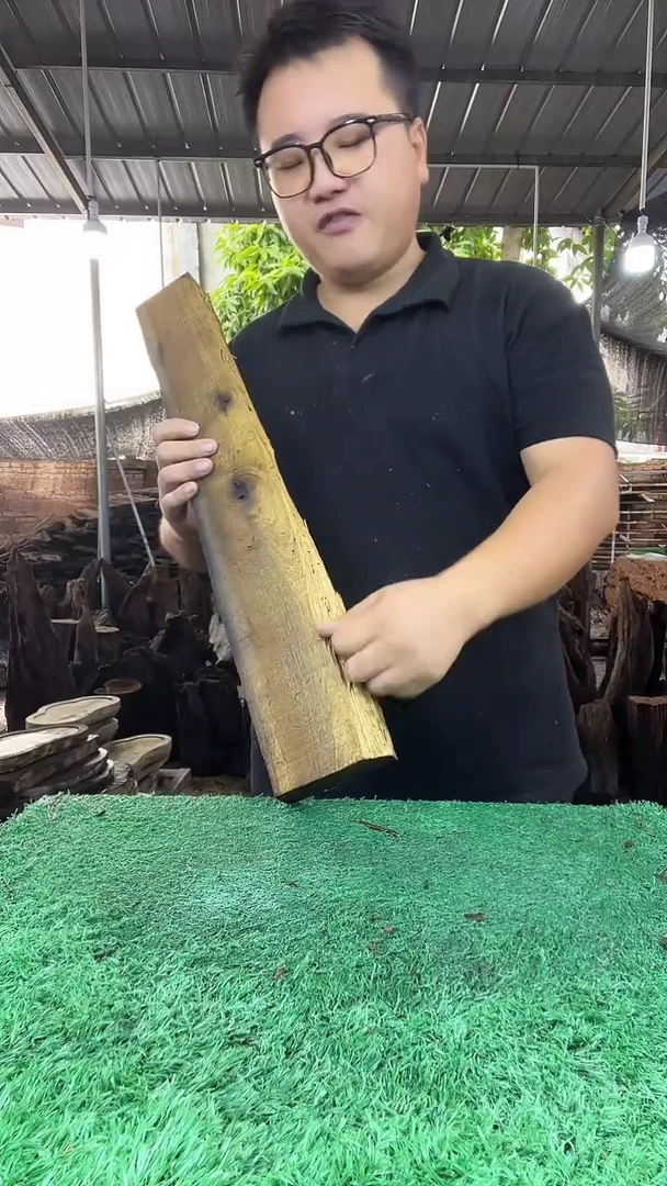 金丝楠小叶桢楠133