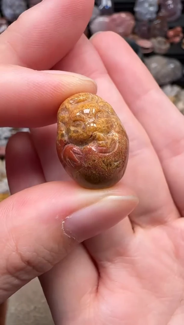 颈饰未镶嵌硅化珊瑚（珊瑚玉）020
