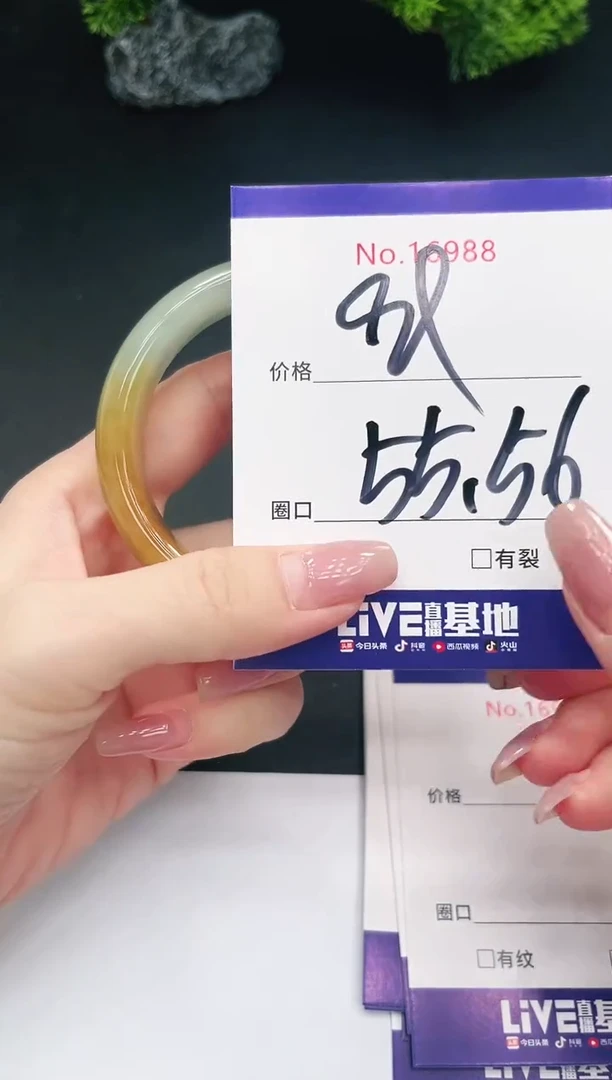 未镶嵌手镯翡翠16988