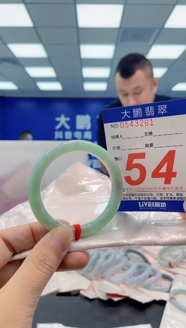 未镶嵌手镯翡翠AAAAAAAAAA