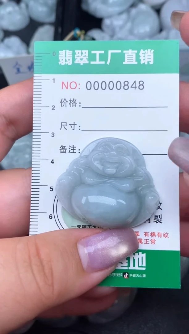翡翠未镶嵌颈饰缅甸天然A货翡翠0848
