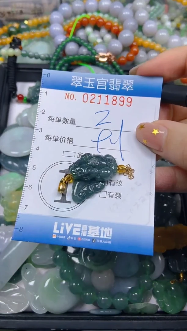 颈饰未镶嵌翡翠闪购C0211899