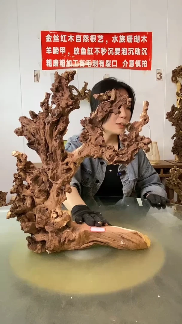 香榧木雅*硕金丝红木 羊蹄甲