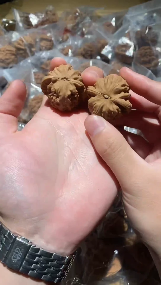 手串/手链核桃白狮子老山地果粉皮36~38尺寸福利价