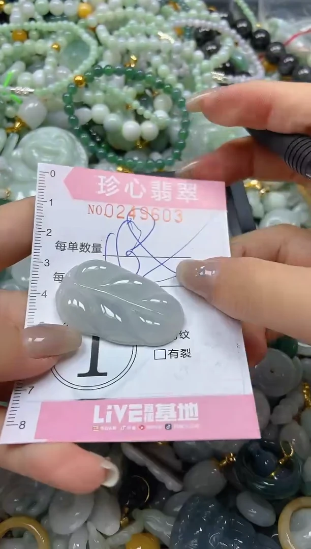 翡翠未镶嵌颈饰闪购0249603