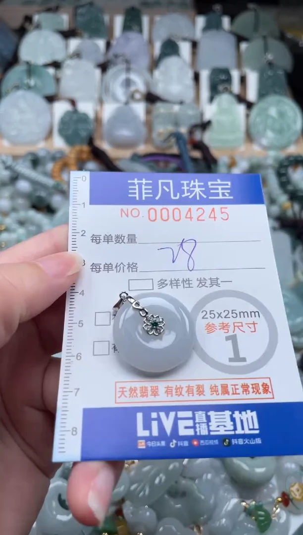翡翠未镶嵌颈饰00..4245