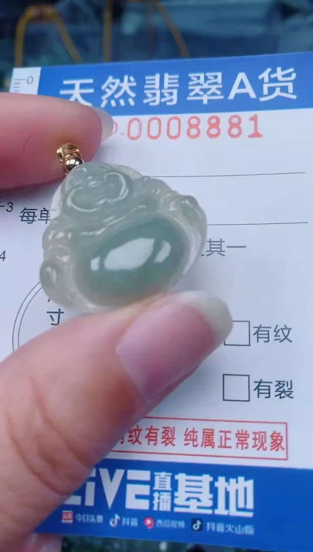 颈饰未镶嵌翡翠00008881