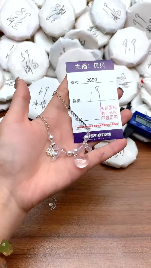 颈饰未镶嵌水晶2890