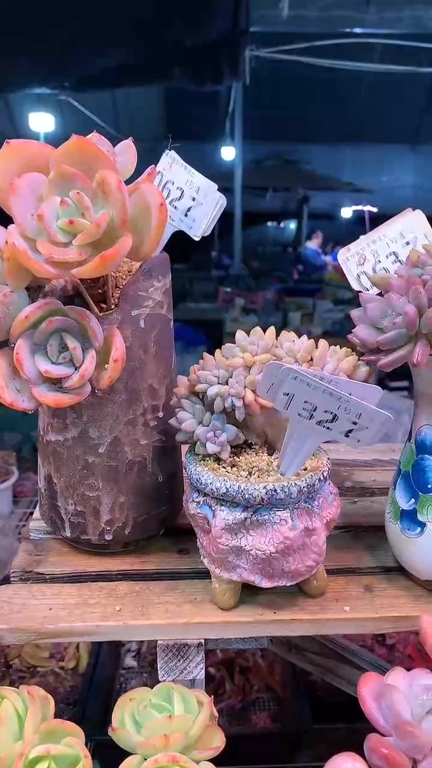 【闪购商品】132ZZZ