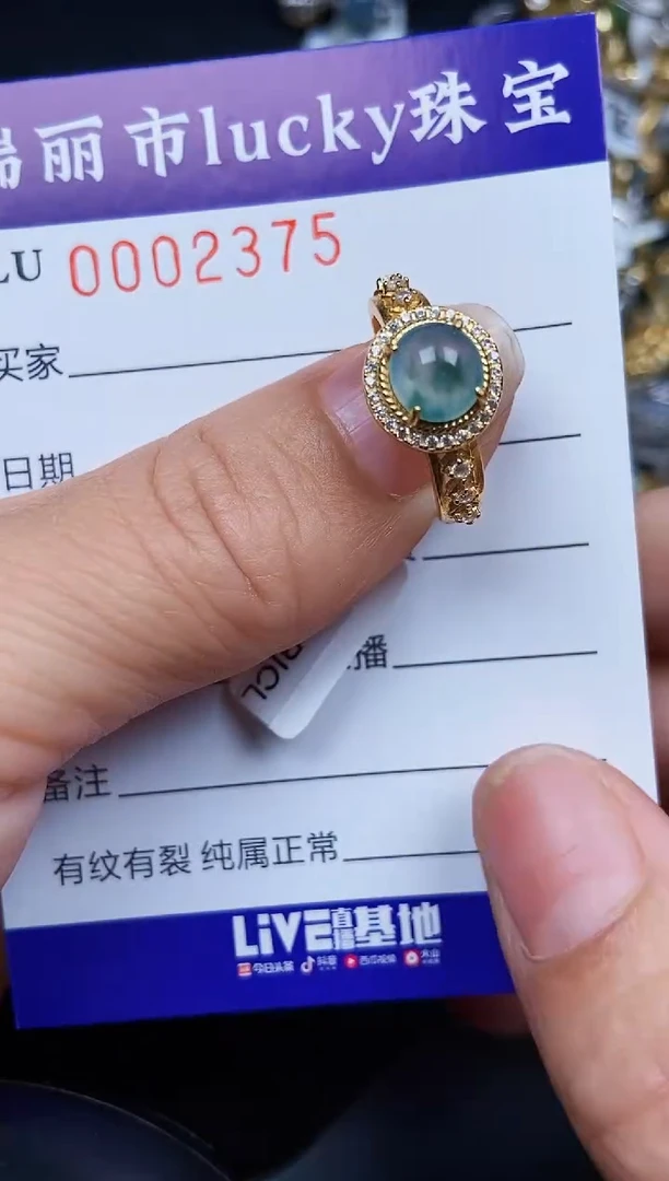 翡翠银S925镶嵌颈饰2375