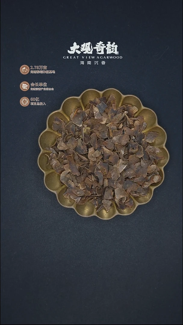 沉香沉香碎屑金*果【蓝葫芦】海南莺歌绿0.7g