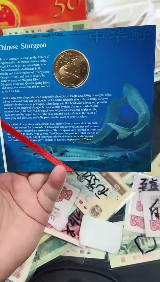 【闪购商品】康银阁装帧纪念册鱼（直播间说明发货）