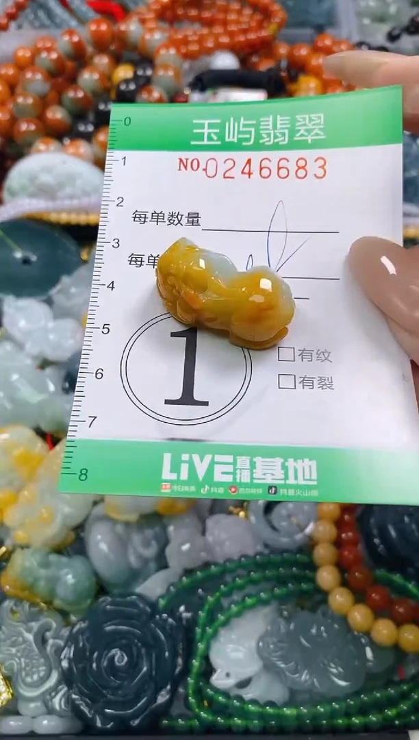 颈饰未镶嵌翡翠闪购0246683