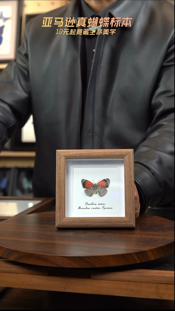 88多涡蛱蝶简约版4寸木纹方框