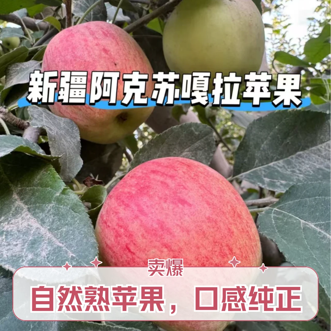 【明日达 中秋精品礼盒】新疆阿克苏苹果 脆甜多汁 中秋佳礼新疆维吾尔自治区