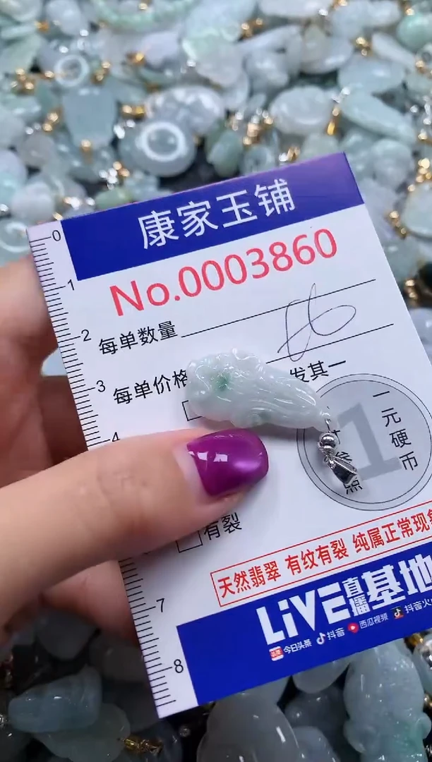 颈饰未镶嵌翡翠3860