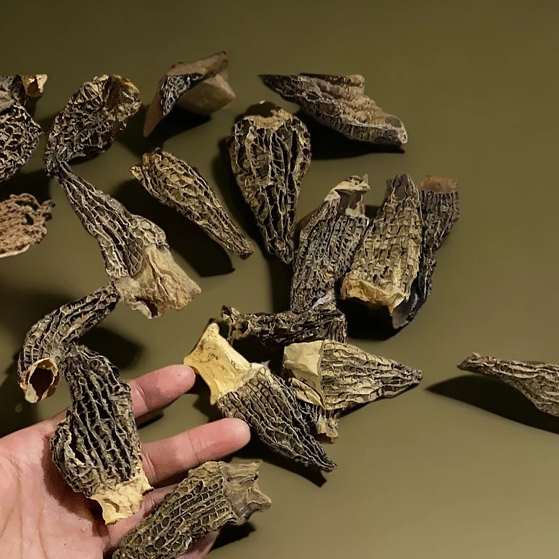 丑菇羊肚菌破损菇原生态干货菌菇煲汤美味营养