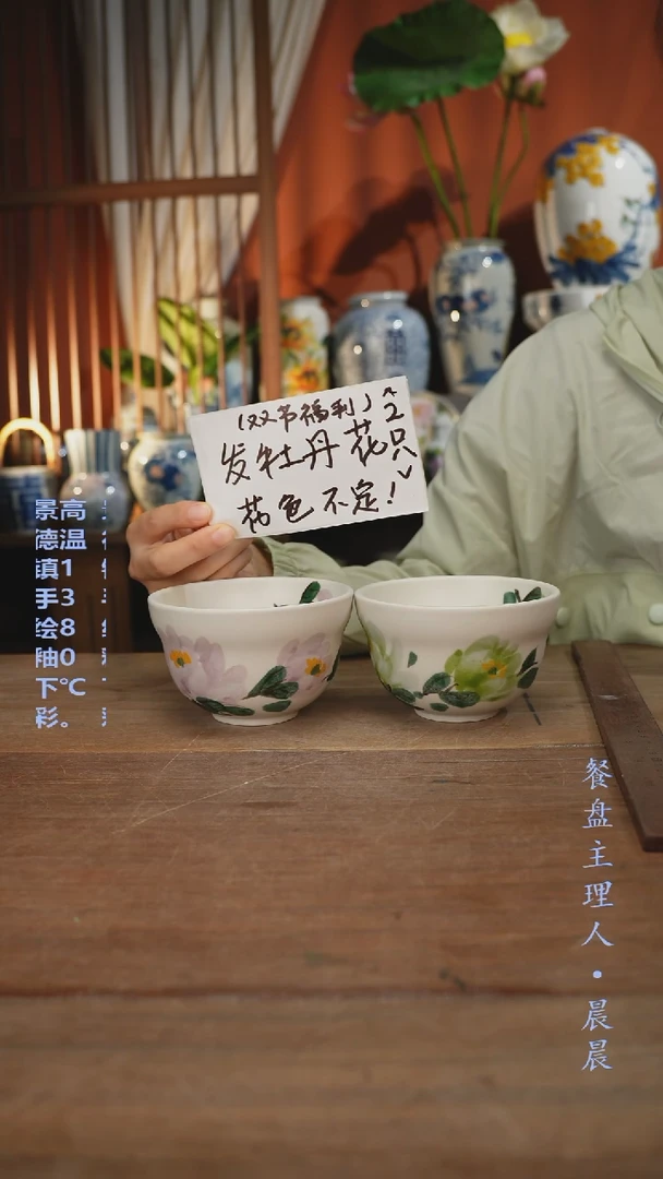 瓷片【简家甄选】景德镇设计师釉下手绘陶瓷餐具