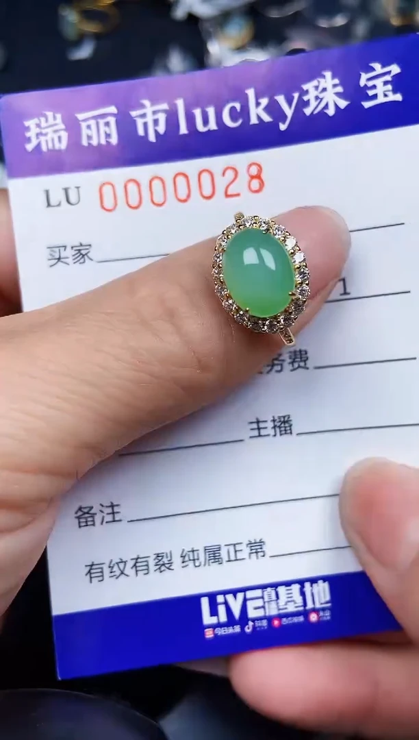 翡翠银S925镶嵌颈饰0028