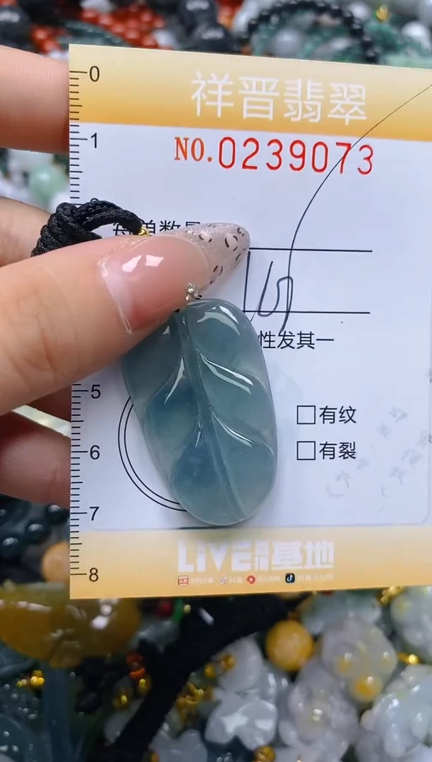 颈饰未镶嵌翡翠闪购0238973