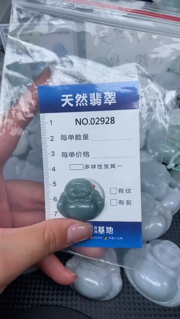颈饰未镶嵌翡翠纯天然A货翡翠2928