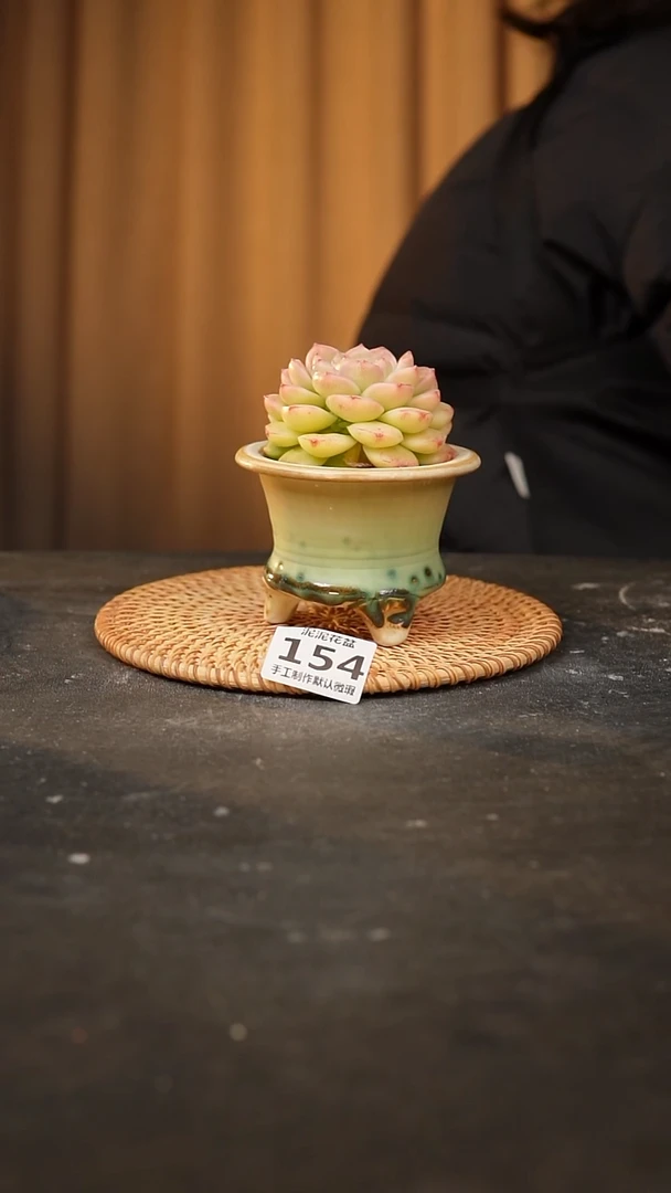 【闪购商品】瓷片154泥泥陶瓷花盆