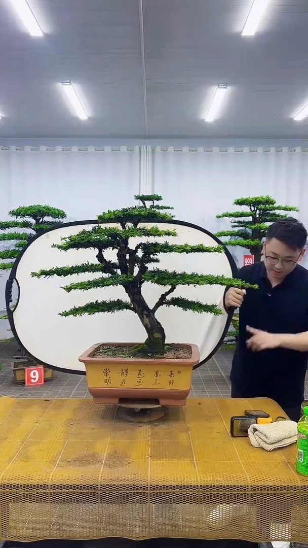 无花朵00000000000000000