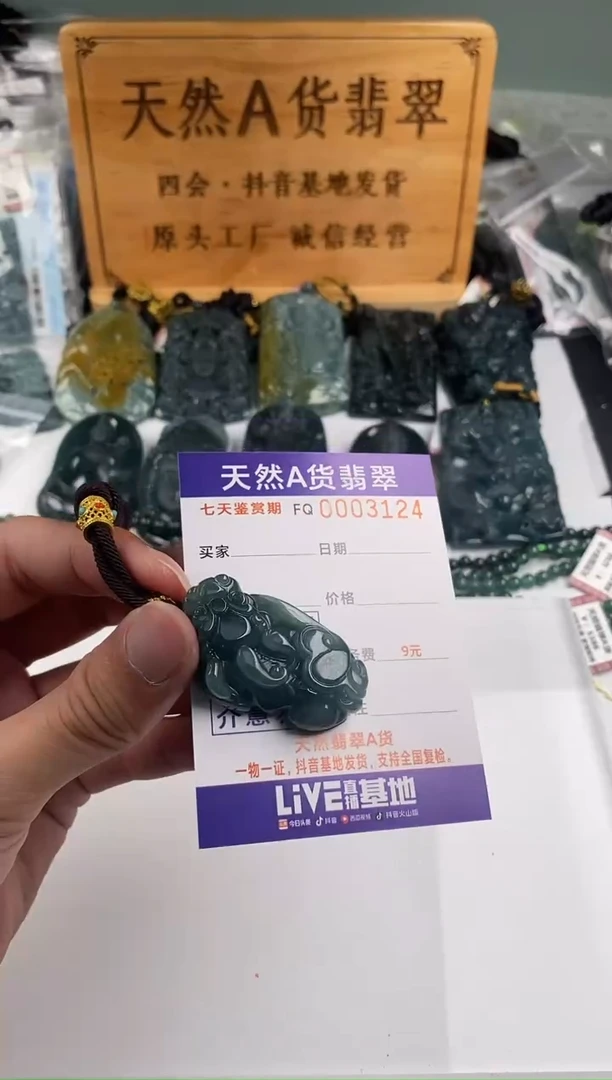 颈饰未镶嵌翡翠  多样性随机一件发货 貔貅38