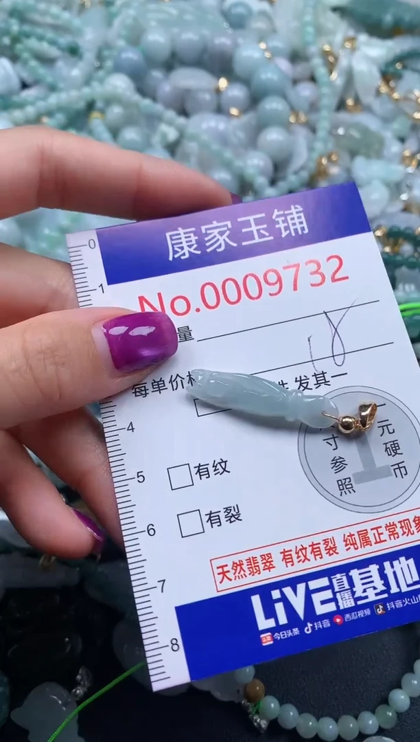 颈饰未镶嵌翡翠9732