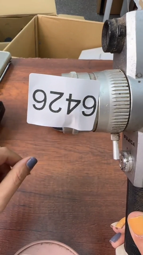 乌鸦的眼中天鹅都有罪