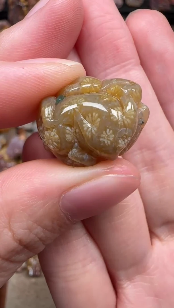 颈饰未镶嵌硅化珊瑚（珊瑚玉）384