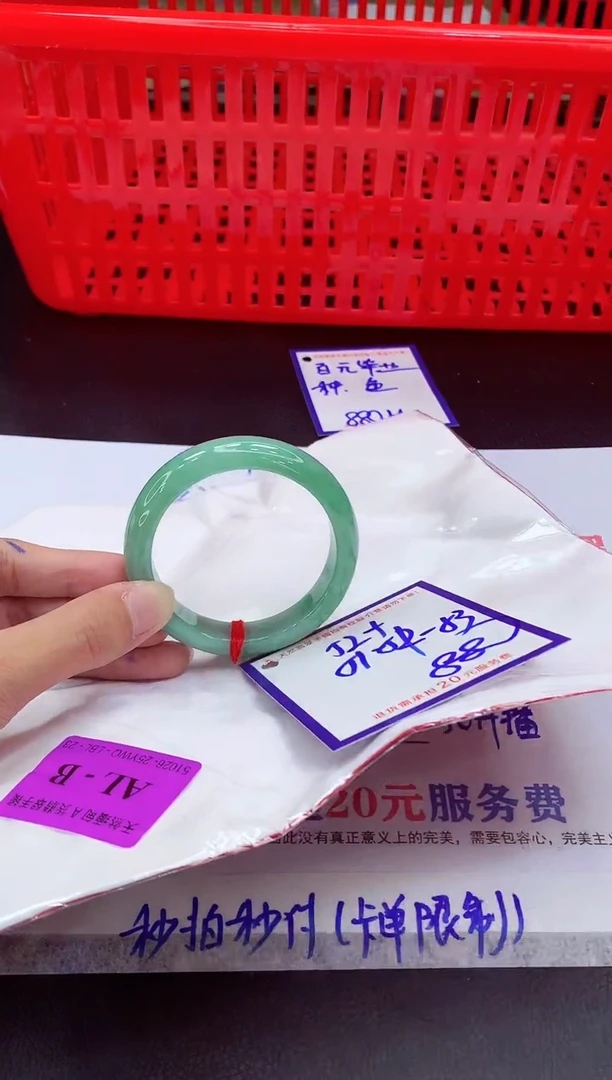 未镶嵌手镯翡翠11111111
