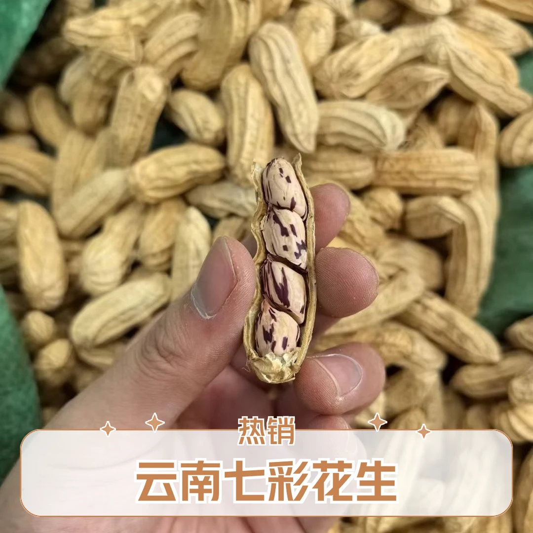 云南七彩干花生健康无污染送礼好品过年必囤热销！！！