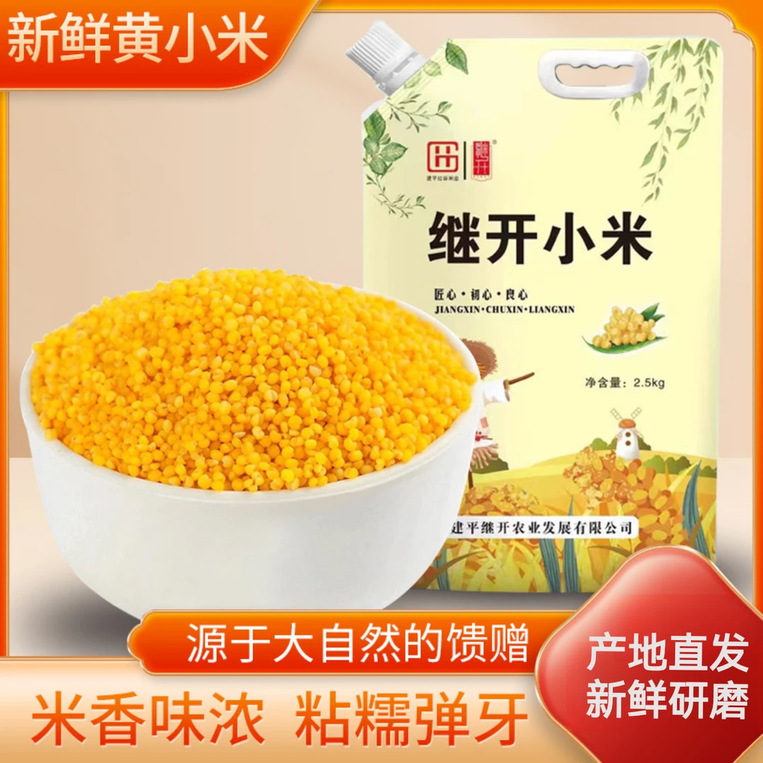继开东北黄小米朝阳小米新米新鲜