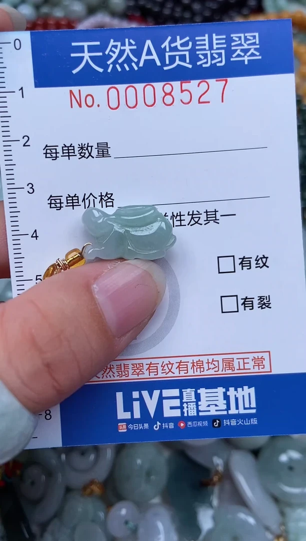 翡翠未镶嵌吊坠(赠链)翡翠